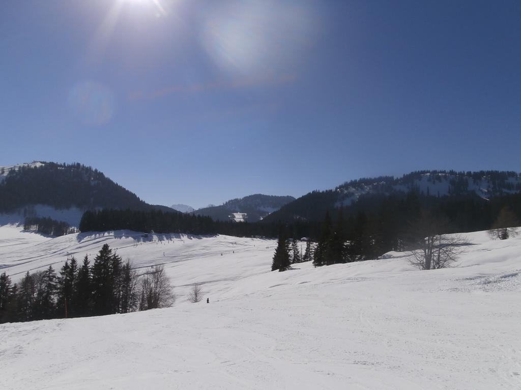 Ferienhaus Elisabeth Sankt Wolfgang im Salzkammergut Bagian luar foto